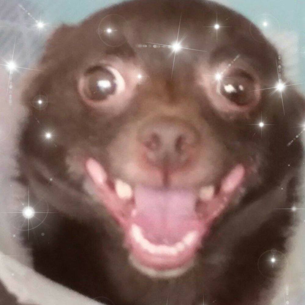 Meet your Posher, Cre